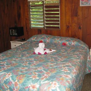 Standard Queen Room No AC No TV
